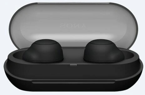Sony WF-C500