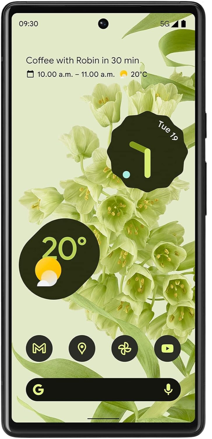 Google Pixel 6 thumbnail