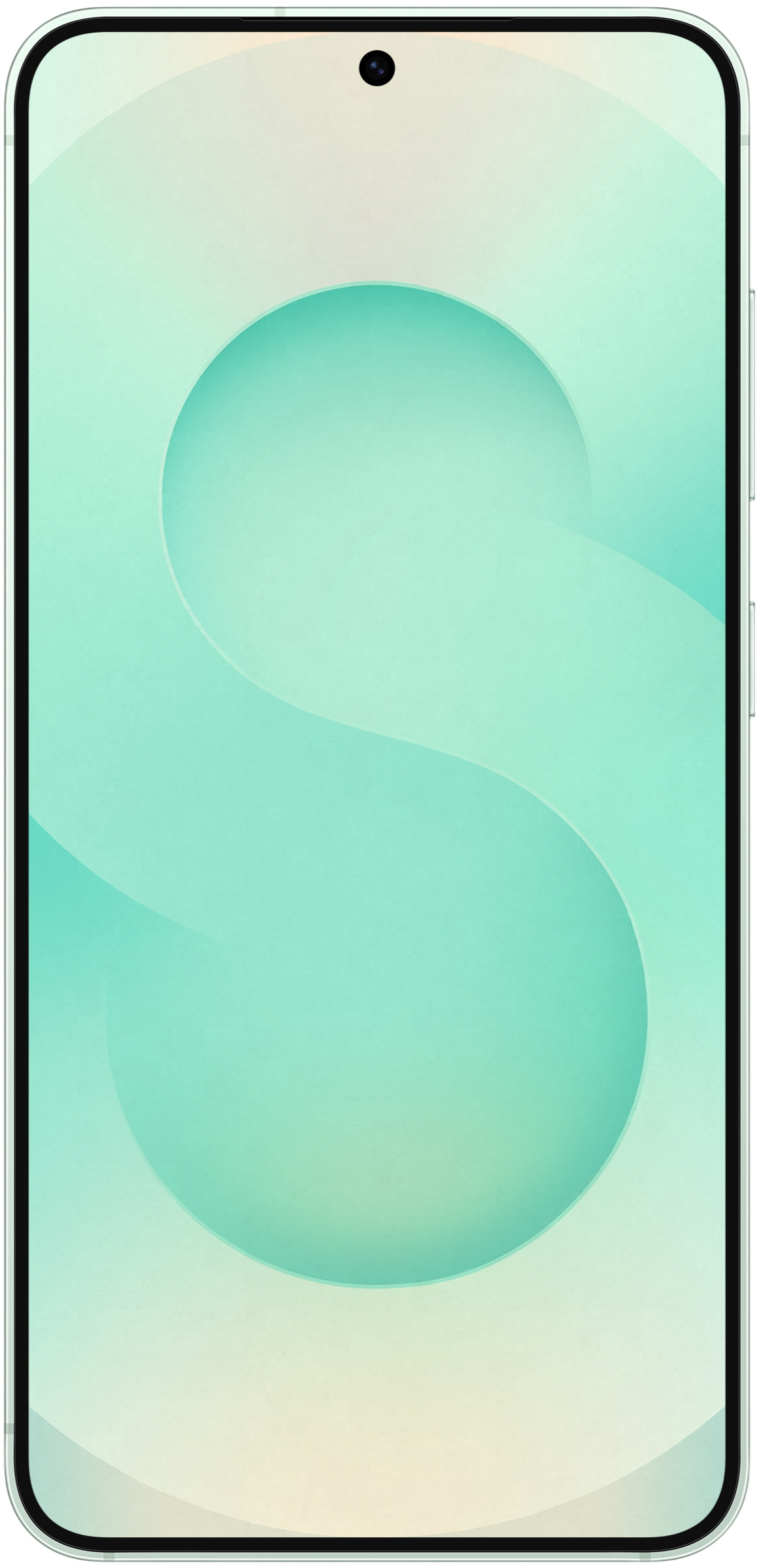 Samsung Galaxy S25