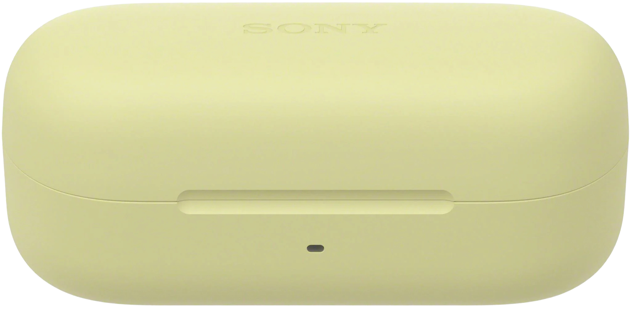 Sony WF-C510