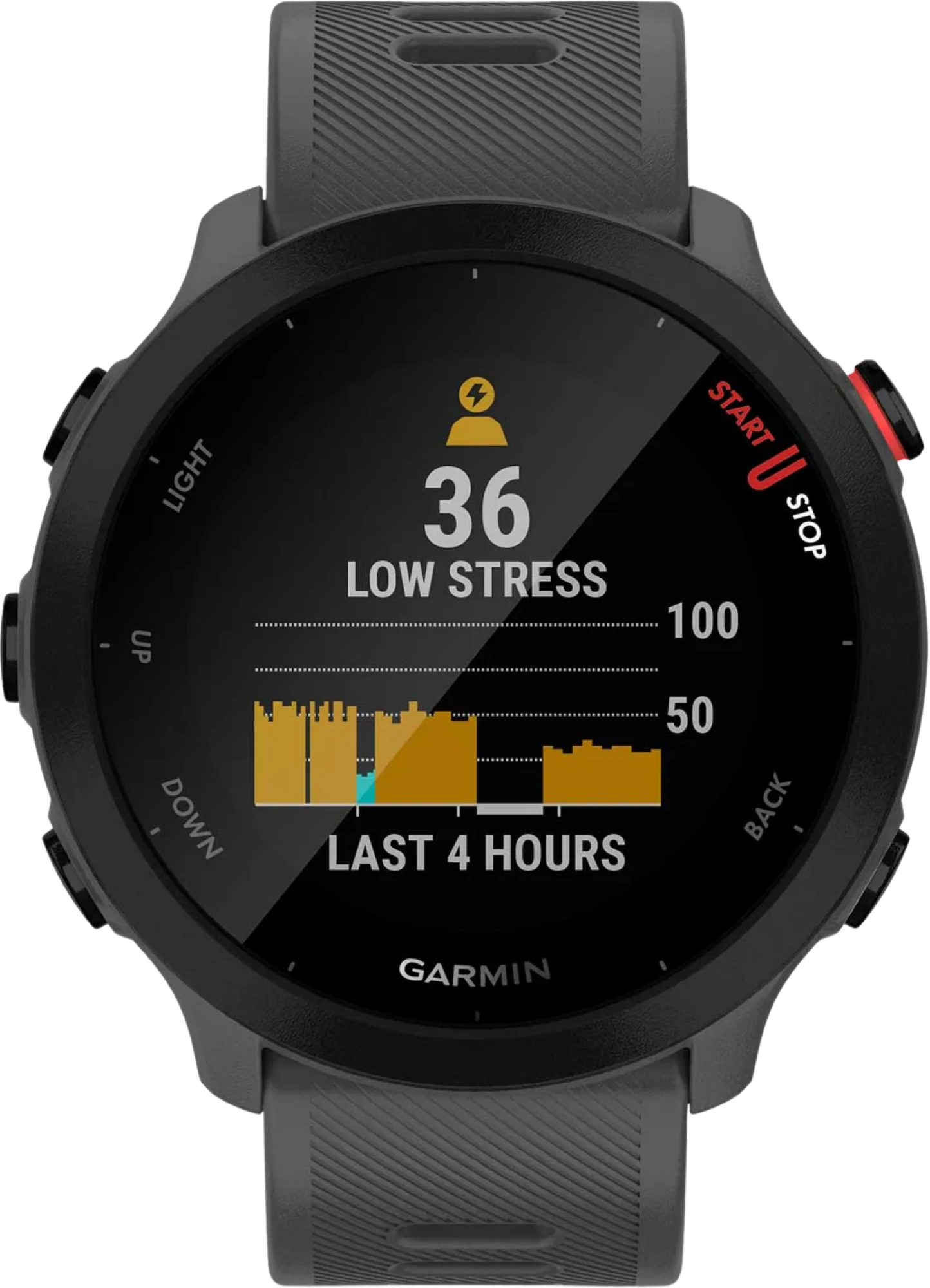 Garmin Forerunner 55