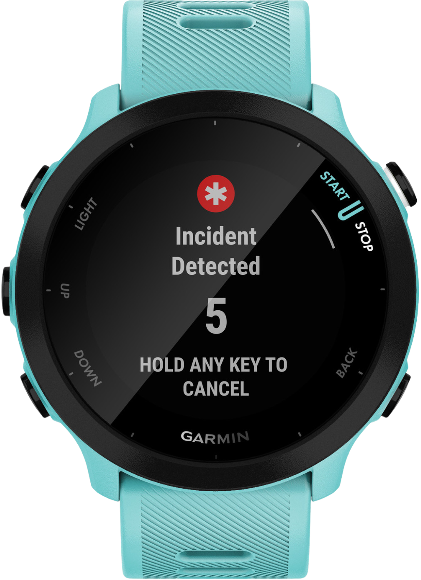 Garmin Forerunner 55