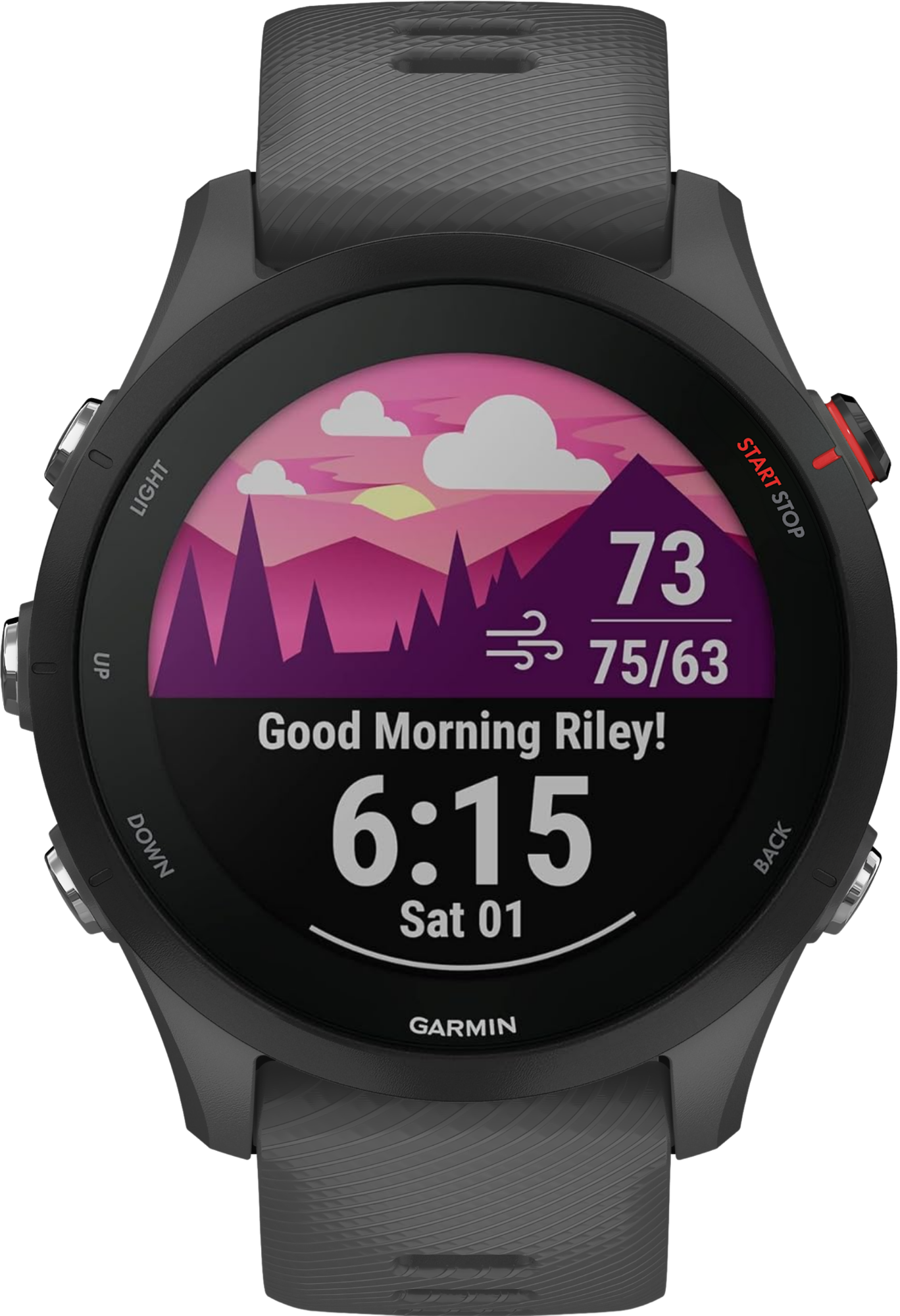 Garmin Forerunner 255