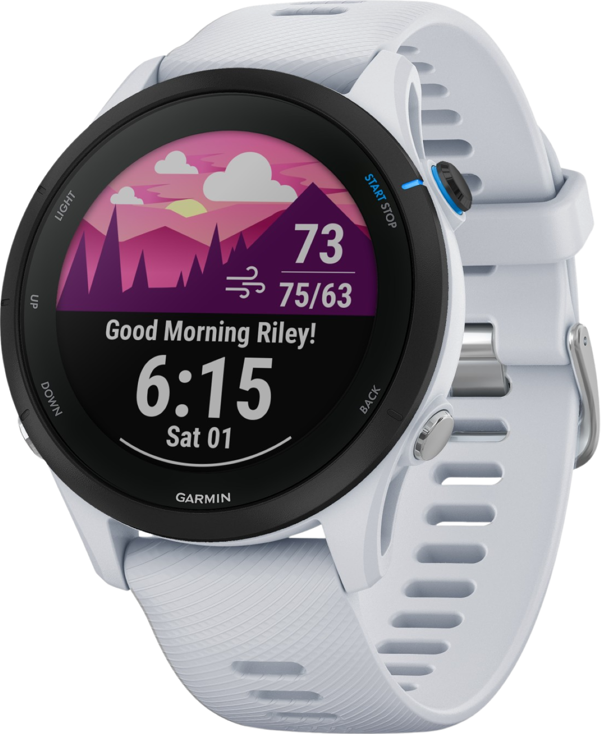 Garmin Forerunner 255 (Music)