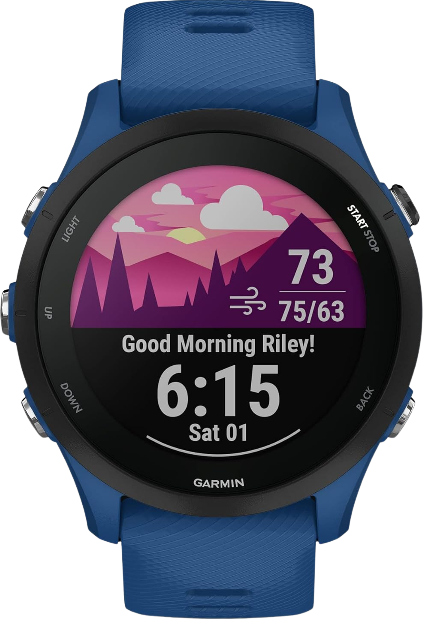 Garmin Forerunner 255 (Music)