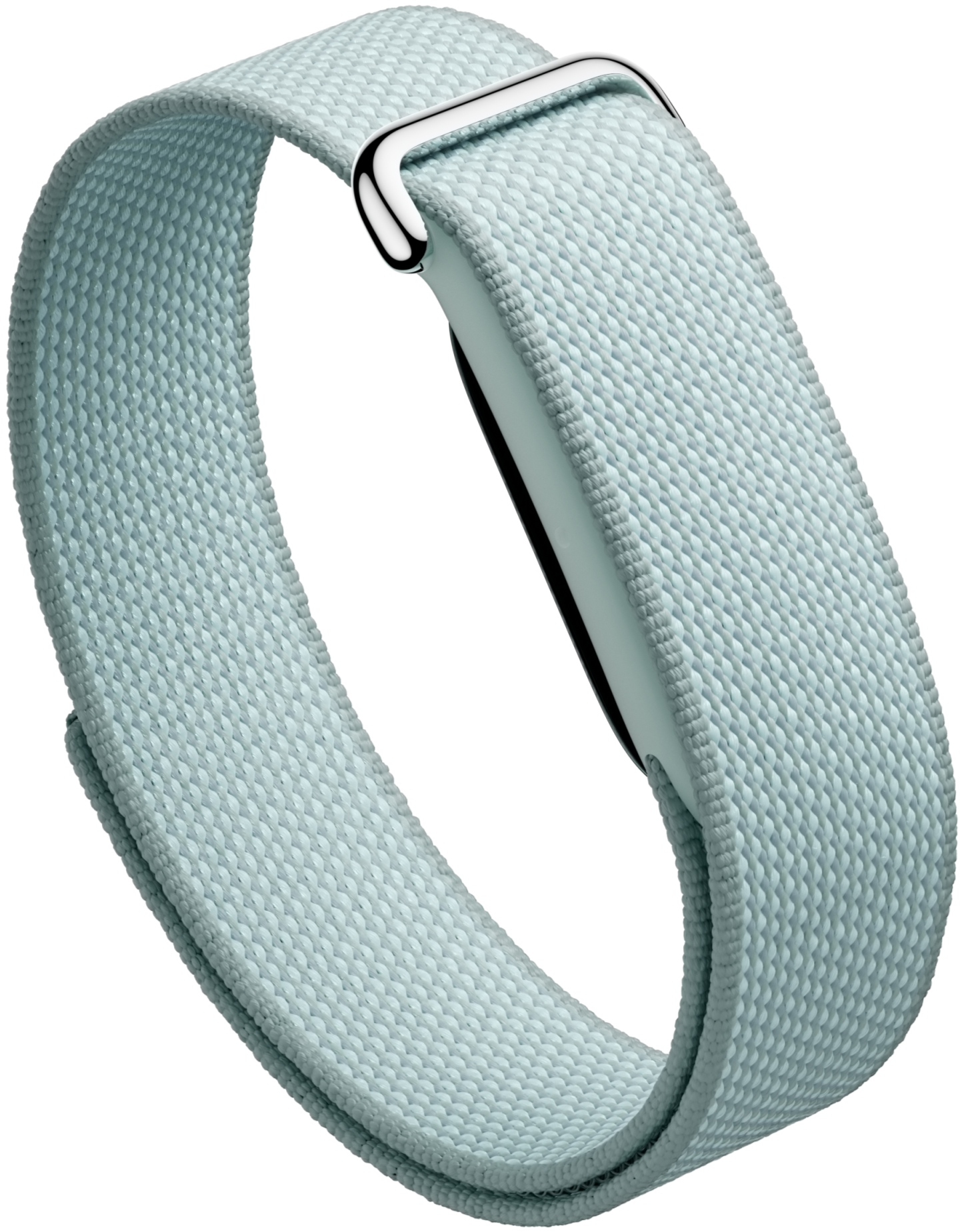 Google Fitbit Air