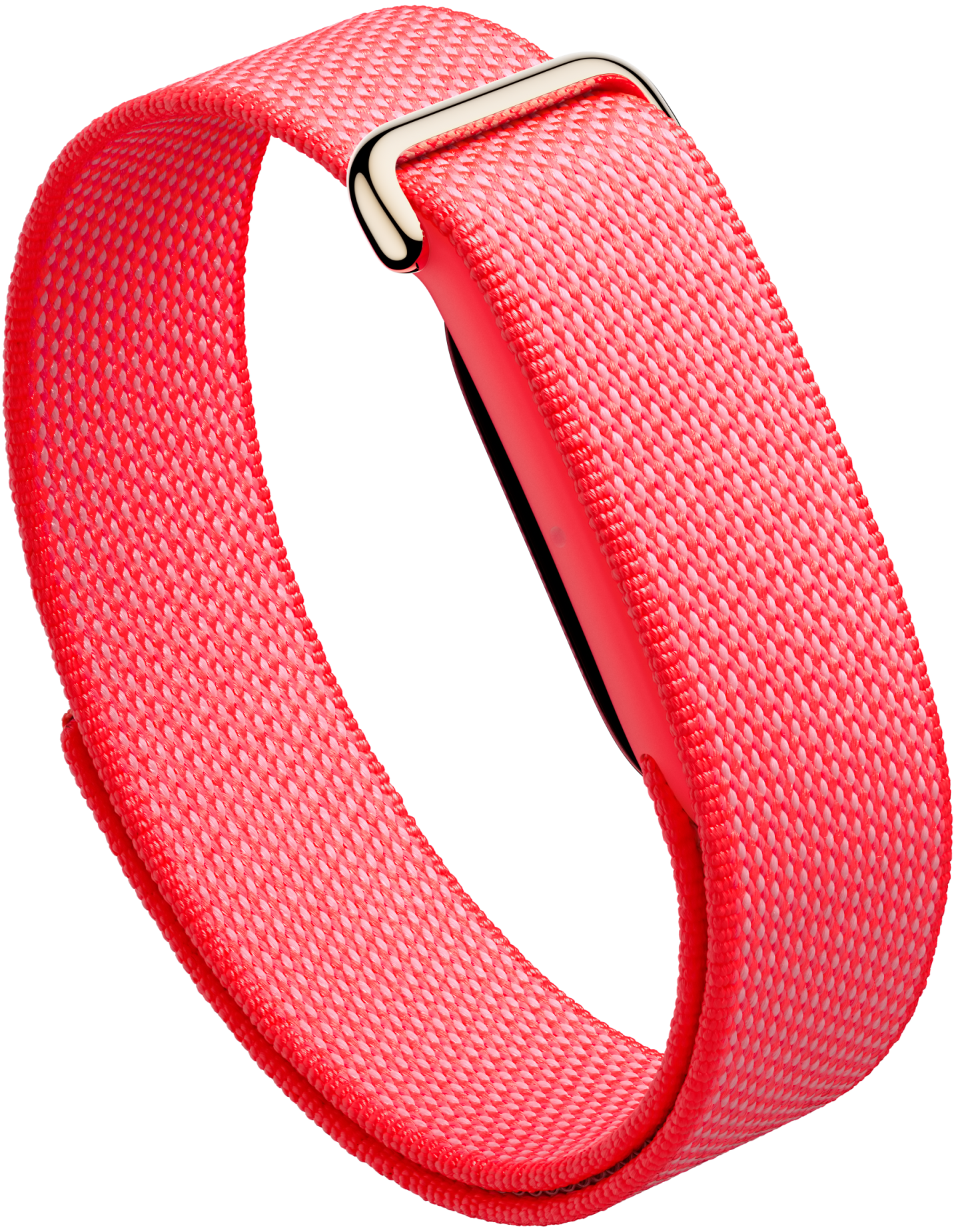 Google Fitbit Air